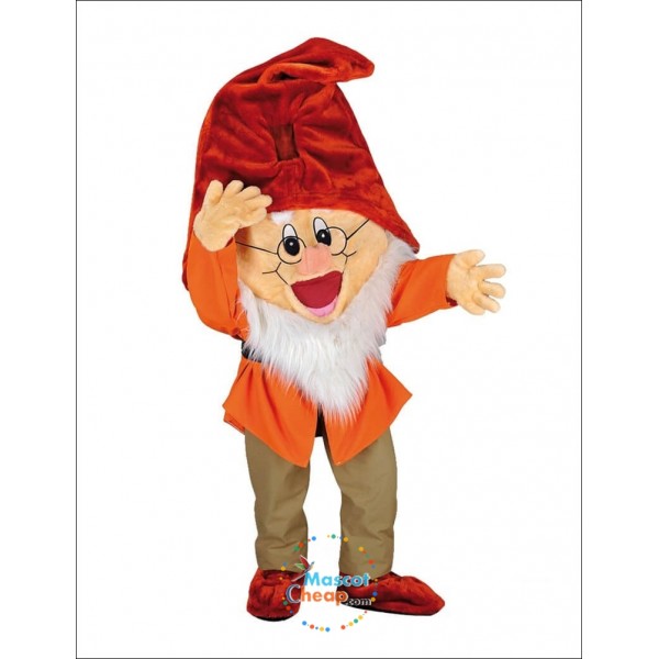 Prof 7 Dwarfs Mascot Costume
