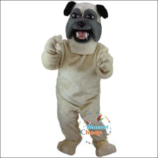 Historical Significance of Bird Mascot Costumes 