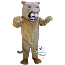 The Psychology of Mascots: Why We Love our Frog Costumes 