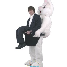 Safety First: Ensuring Comfort and Security in Lion Mascot Performances 