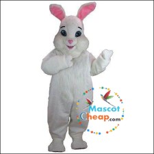 Upcoming Trends in Sea Animal Mascot Costume Design and Functionality 