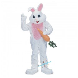 Rabbit Mascot Costume