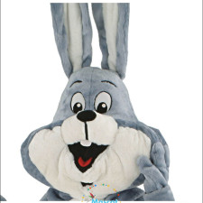 The Role of Rabbit Mascots in Sports Teams 