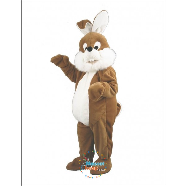 White belly Rabbit Mascot Costume