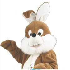 From Cartoons to mascots: Iconic Character Transformations 