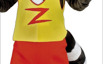Cheap Thrills: The Most Affordable Eagle Mascot Costumes of 2028 
