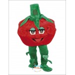Lovely Raspberry Mascot Costume