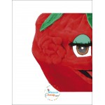Lovely Raspberry Mascot Costume