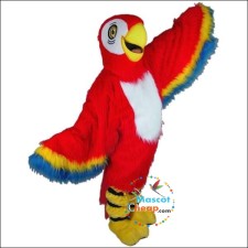Affordable Mascot Costumes: Focus on the Chicken 