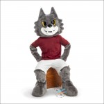 Romolo Mascot Costume