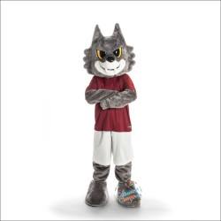 Romolo Mascot Costume