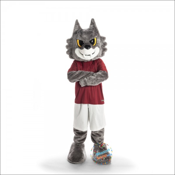 Romolo Mascot Costume