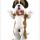 Saint Bernard Dog Mascot Costume