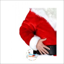 How Schools Use Eagle Mascot Costumes to Build Community Spirit 