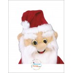 Santa Christmas Mascot Costume