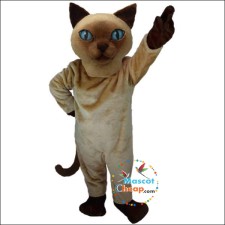 Raccoon Mascot Costumes Through the Ages: Trends and Changes Over Time 