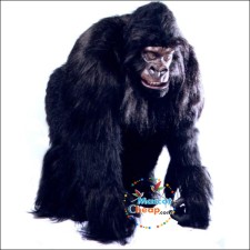 The Role of Sheep Mascot Costumes in Promoting Agriculture and Farming Awareness 