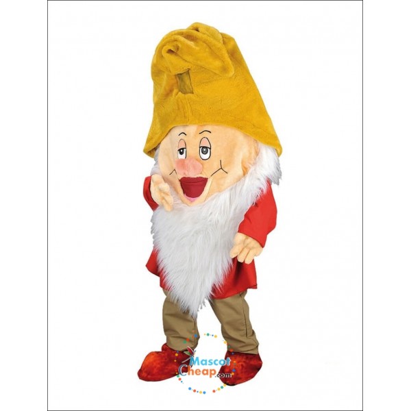 Sleeper 7 Dwarfs Mascot Costume