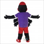 Spider Araneid Spinner Flycatcher Fly-flap Cartoon Mascot Costume