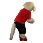 Sport Beige Dog Cartoon Mascot Costume