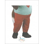 Cute Squirrel Mascot Costume