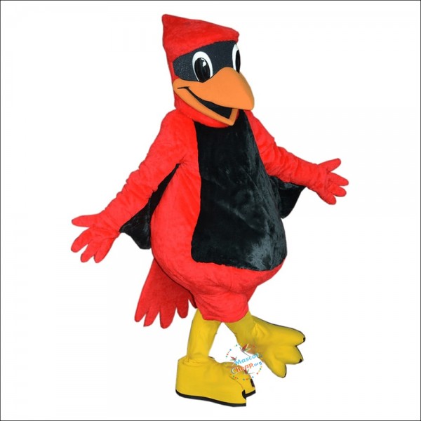 St Thomas Aquinas Cardinal Mascot Costume