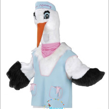 Celebrate in Style, Not in Cost: Cheap Eagle Mascot Costumes Revealed 