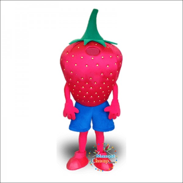Strawberry Character Mascot Costume