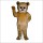 Sunny Bear Mascot Costume