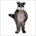 Sunny Raccoon Mascot Costume