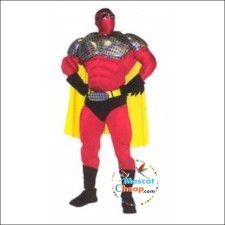 Comparing Custom and Pre-Made Tiger Mascot Costumes 