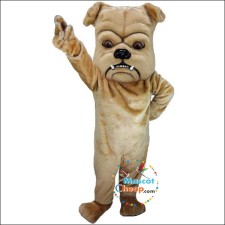 How Schools Can Save Money on Chicken Mascot Costumes 