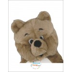 Teddy Bear Mascot Costume High quality