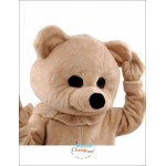 Teddy Bear Mascot Costume