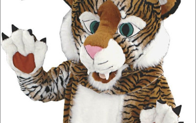 Cheap Mascot Costume Shopping: What You Need to Know 