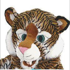 The Charitable Side of Mascots: Fundraising and Awareness 