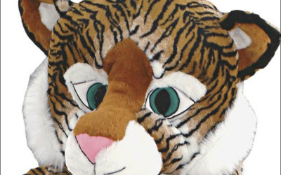The Charitable Side of Mascots: Fundraising and Awareness 