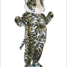 The Emotional Journey of Becoming a Mascot Performer 