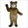 Tommy Teddy Mascot Costume