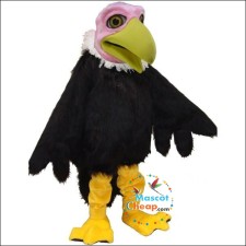 The Evolution of Sports Mascot Costumes 