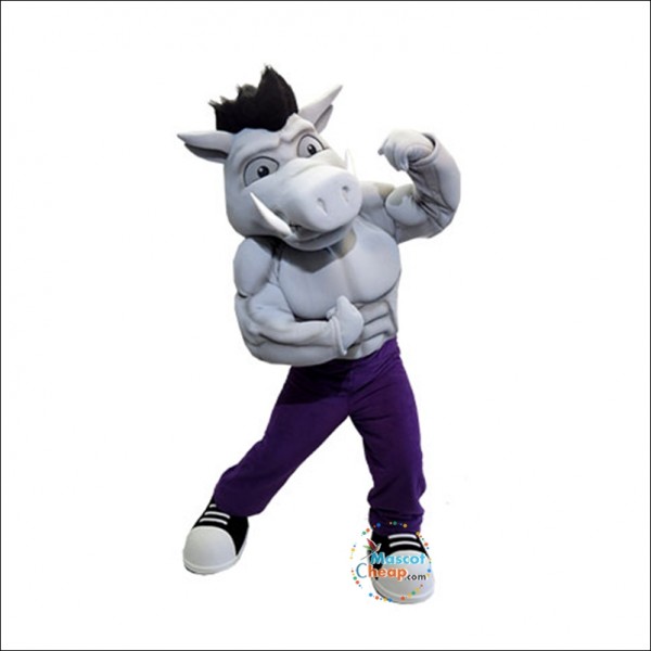 College Power Pig Mascot Costume