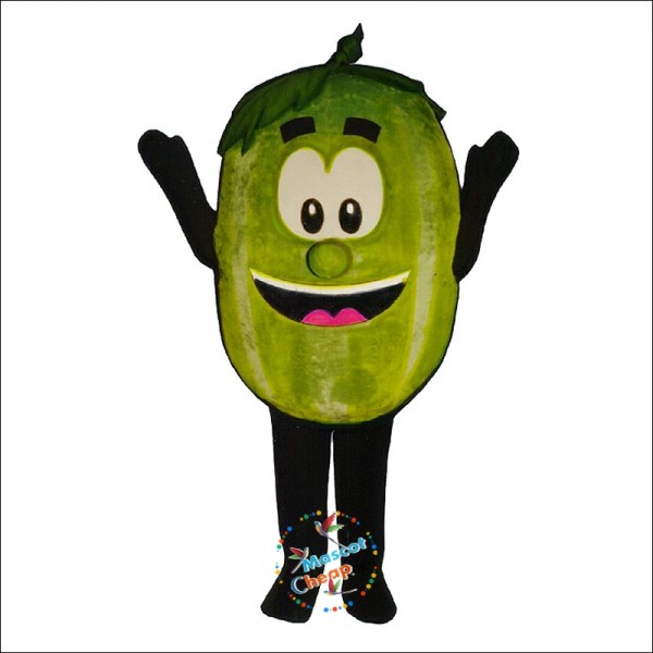 Wally Watermelon (Bodysuit not included) Mascot Costume