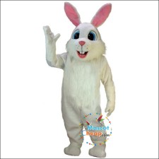 Raccoon Mascot Costume Contests: Judging Criteria and Winner Showcases 