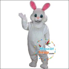 Inexpensive Pig Mascot Costumes: Great Looks at Low Prices 