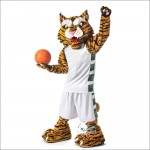 Wildcat Power Mascot Costume