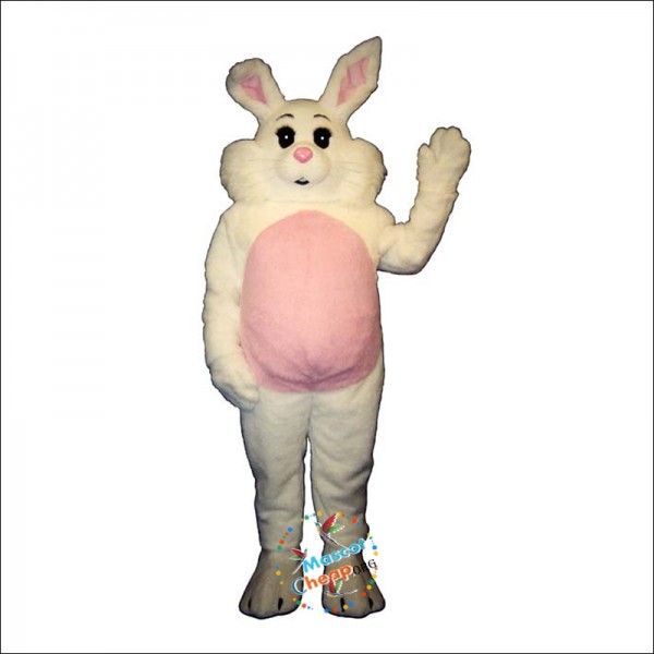 Willy Rabbit Mascot Costume