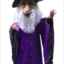 Economical Choices: The Best Cheap Raccoon Mascot Costumes 