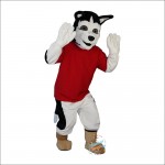 Wolf Dog Cartoon Mascot Costume