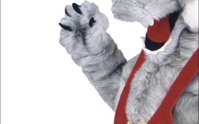 Why Rabbits? Understanding the Appeal of Rabbit Mascot Costumes