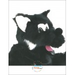 Cute Wolf Mascot Costume